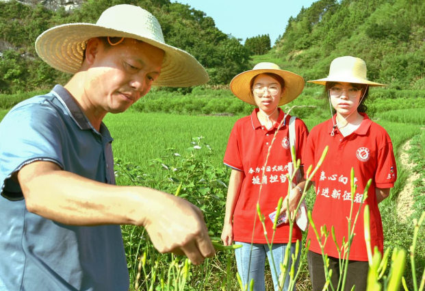衡阳师范学院三下乡：“草编帽”扎进黄花地 汗水浇灌振兴梦